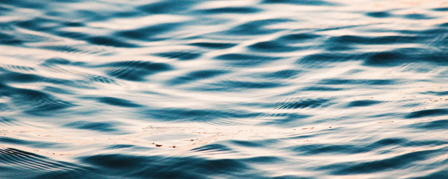 Luke bender u Vcj UF Oy Gk unsplash